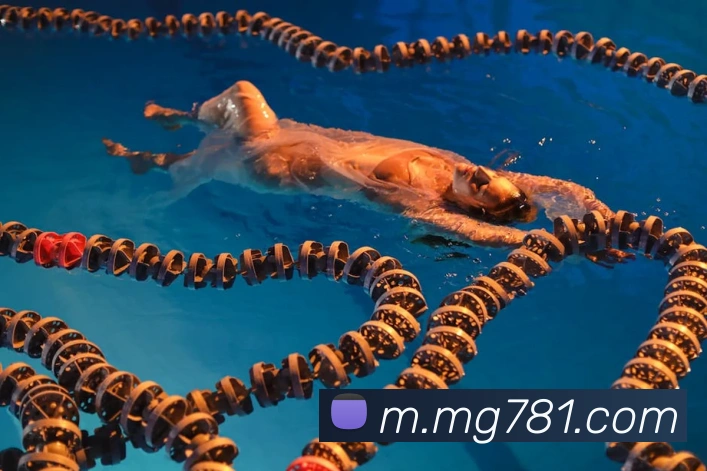 MG娱乐平台官网服务体系