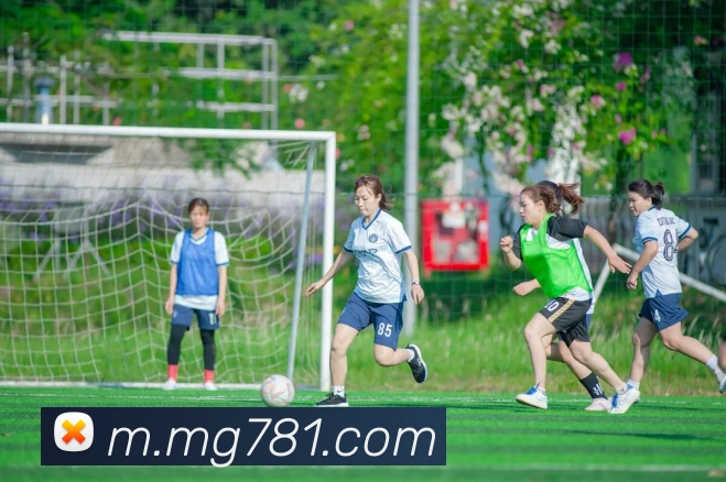 MG娱乐平台官网APP 体育赛事宣传图